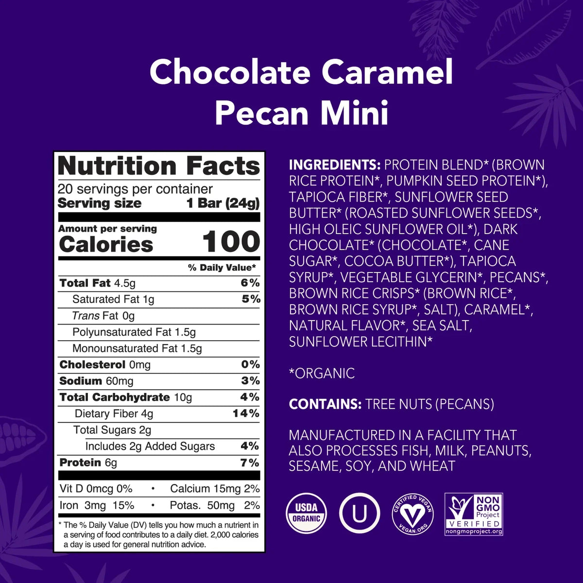 Chocolate Caramel Pecan - Mini Bars - Plant-Based Fuel for Busy Days D5